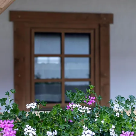 Piecky Pila (Spisska Nova Ves)